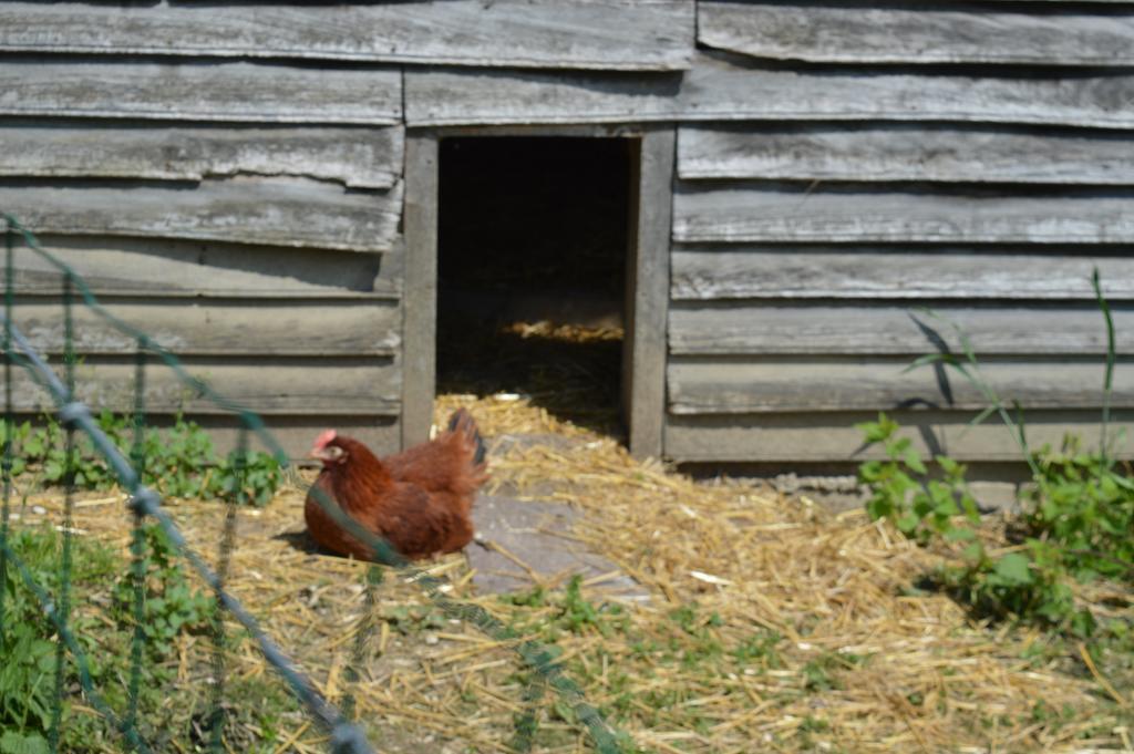 Bed and Breakfast Au Passage Des Grues Drosnay Exterior foto