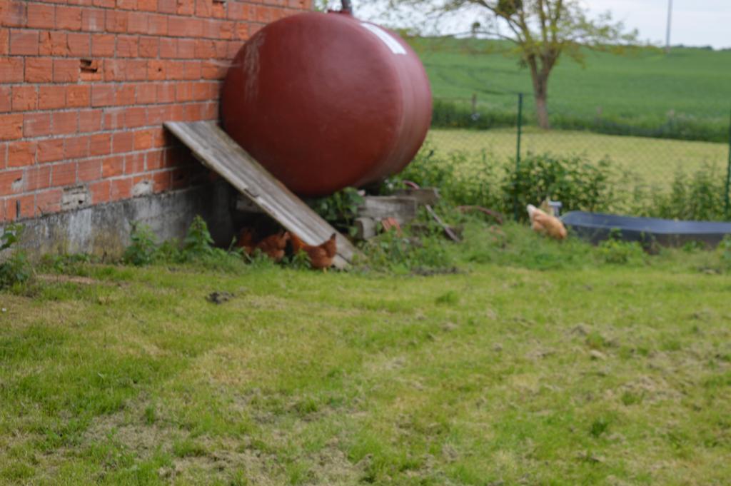 Bed and Breakfast Au Passage Des Grues Drosnay Exterior foto